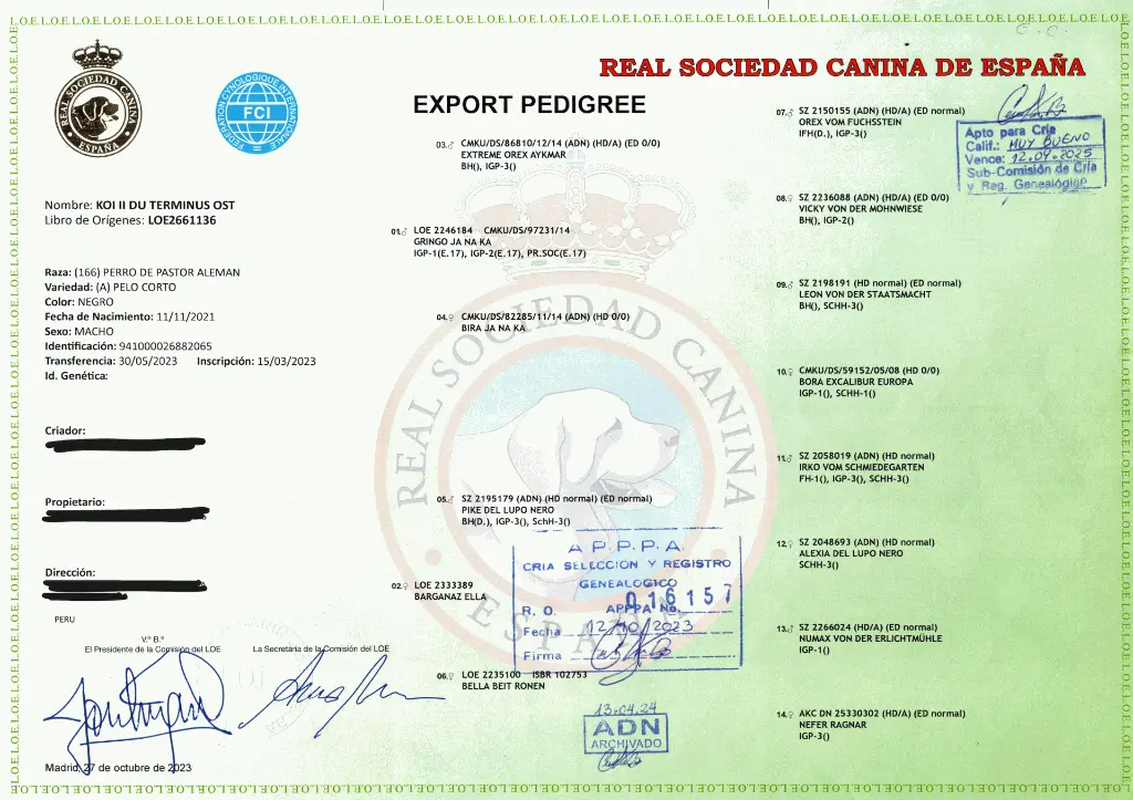 Pedigrees (1).webp