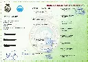 Pedigrees (1).webp